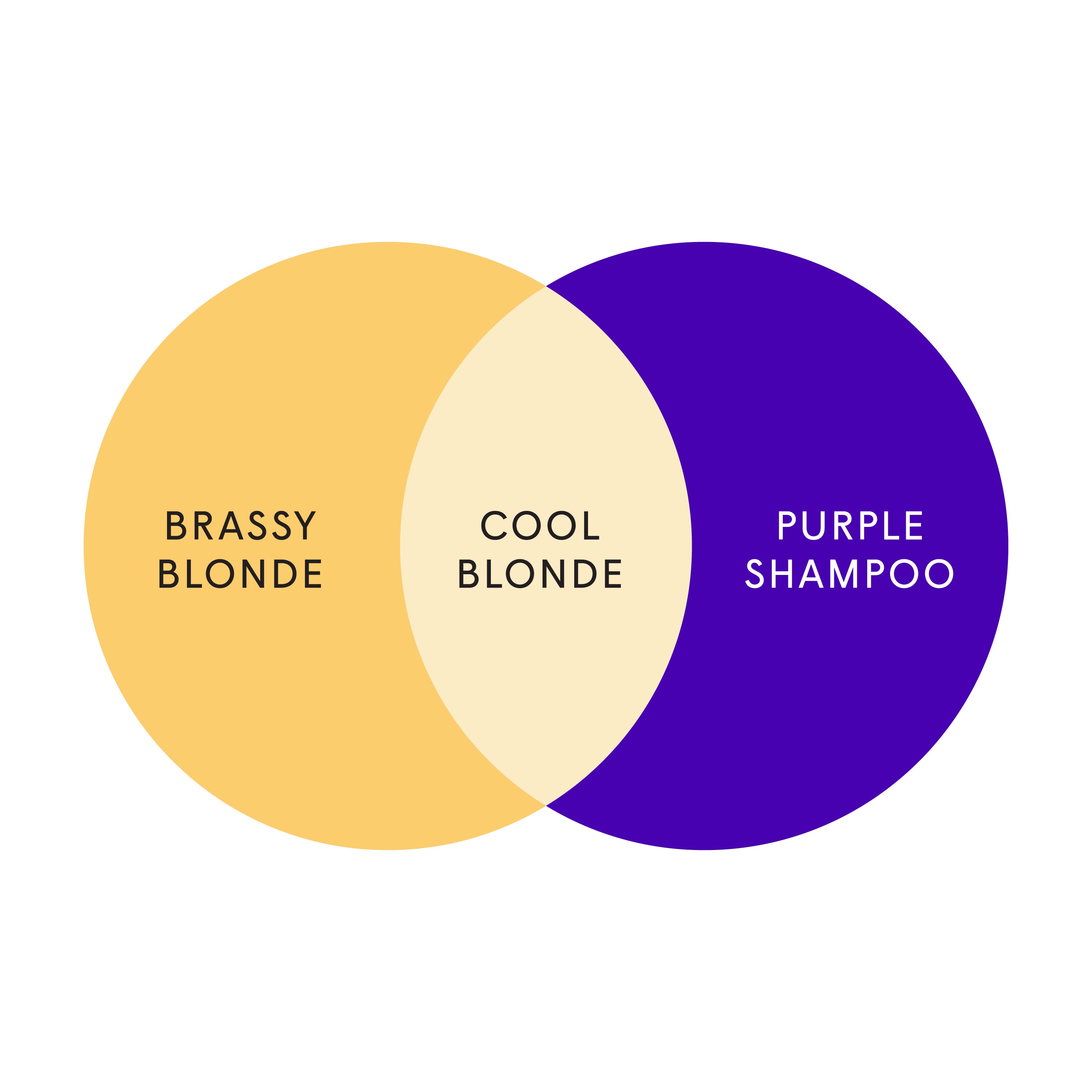CoolDiagram-Blonde_8c2a54d0-62d1-461c-b8df-241980237ddd.jpg