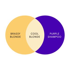 Cool Blonde Conditioner