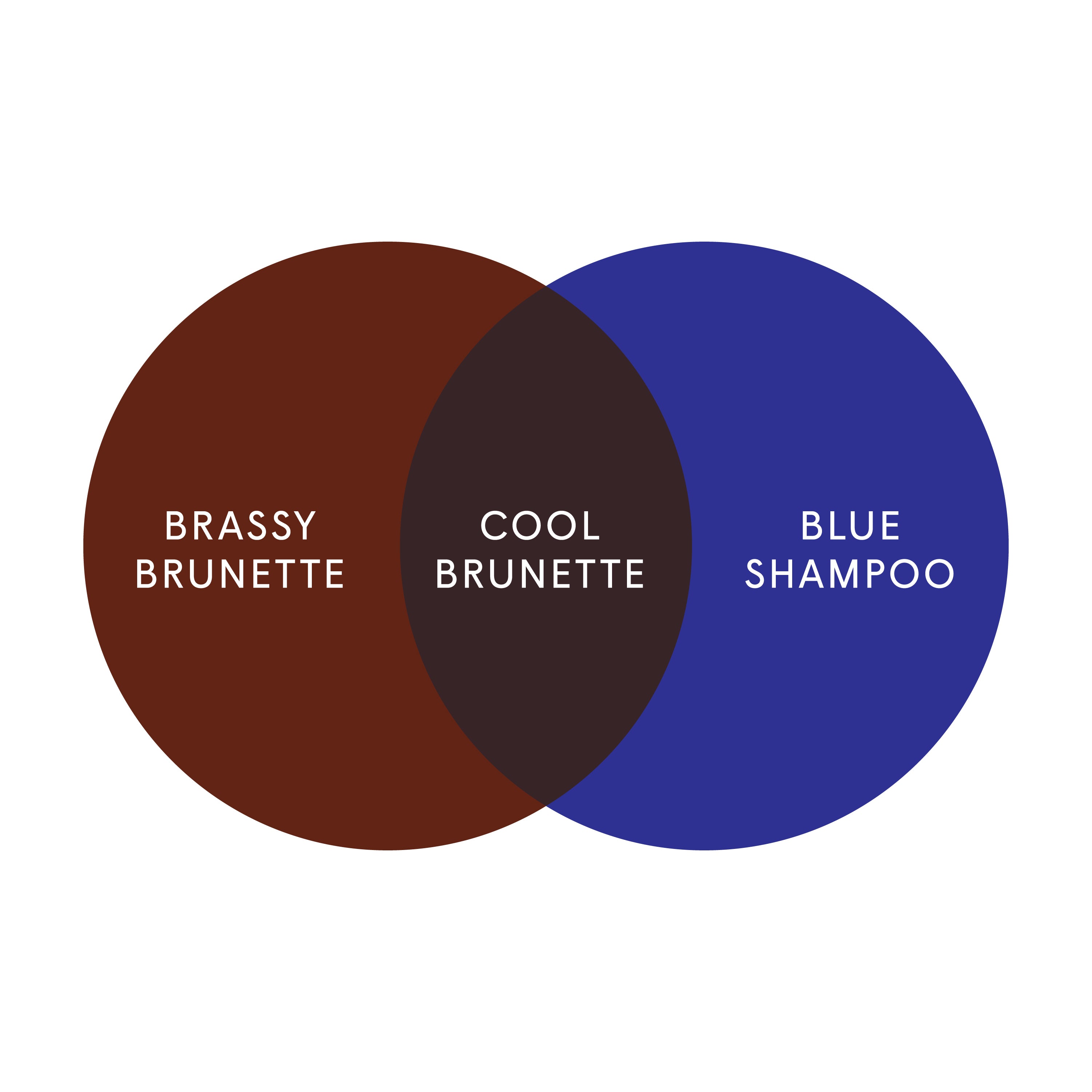 CoolDiagram-Brunette_014202e8-f9f3-4ad2-9bc6-92a15d139975.jpg