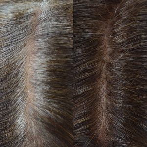 Root Touch-Up Kit