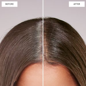 Root Touch-Up Kit