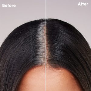 Root Touch-Up Kit for Resistant Grays