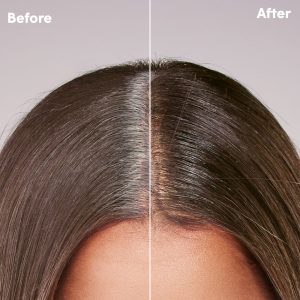 Root Touch-Up Kit for Resistant Grays