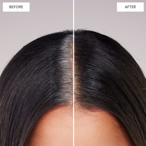Root Touch-Up Kit