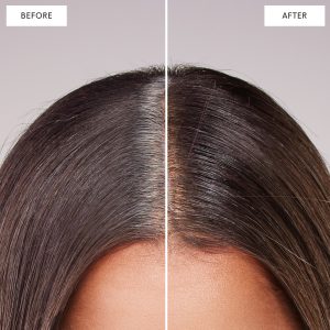 Root Touch-Up Kit