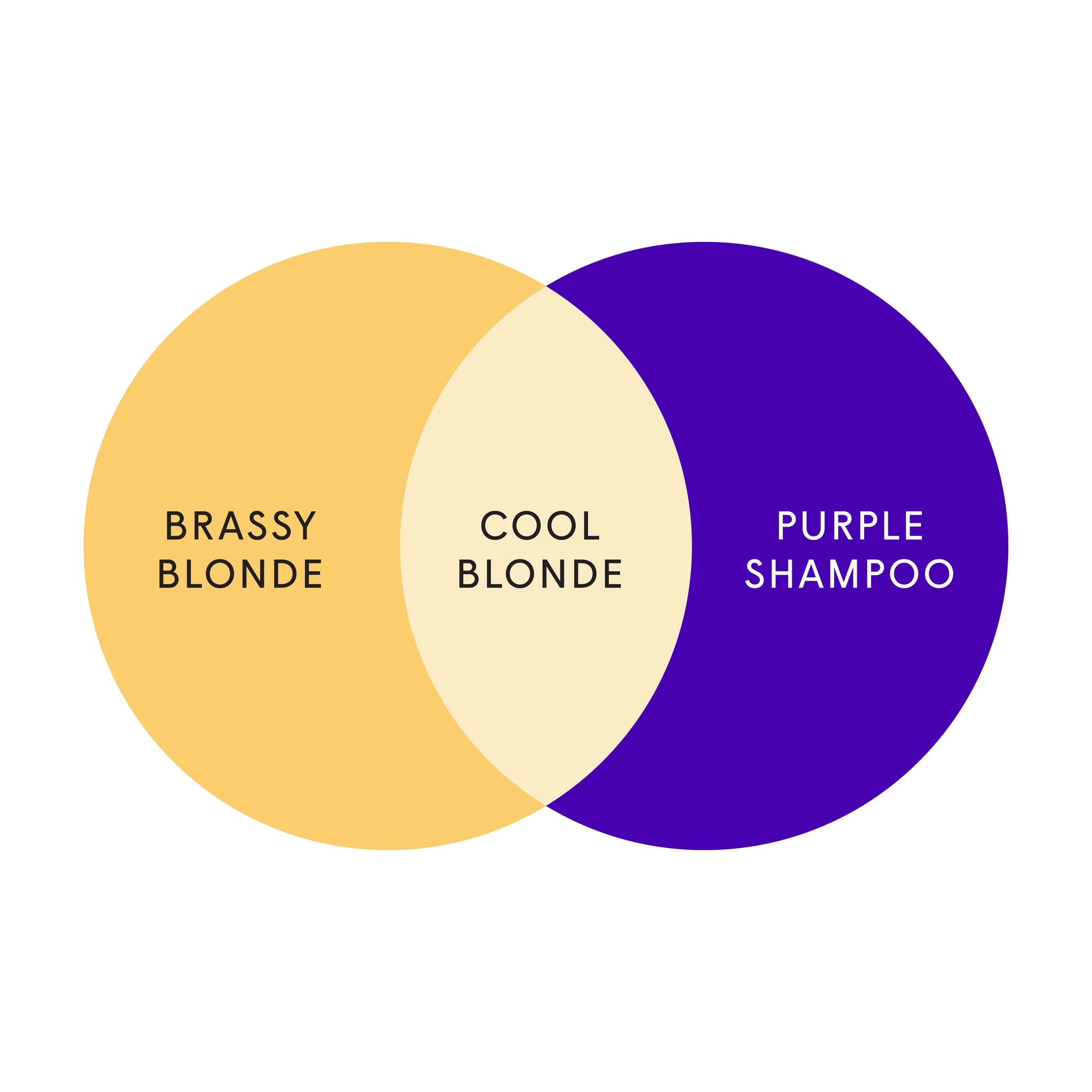 temp_UdTncjh.jpg