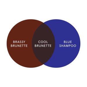 The Cool Brunette Set