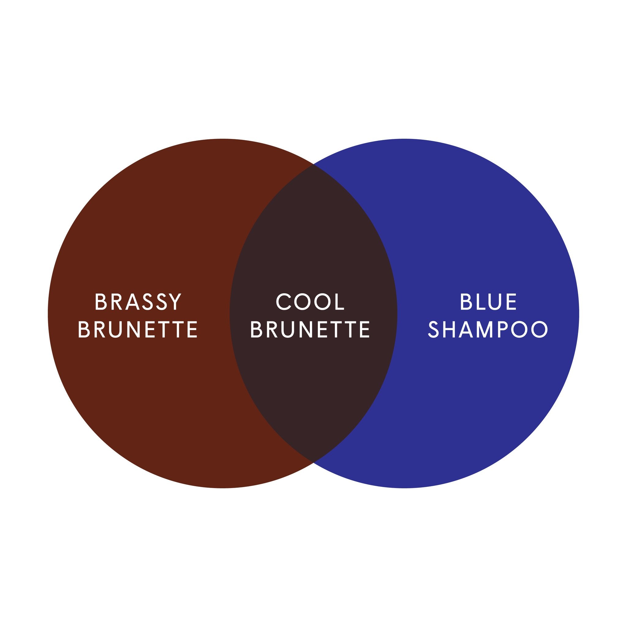 temp_bL4piwR.jpg